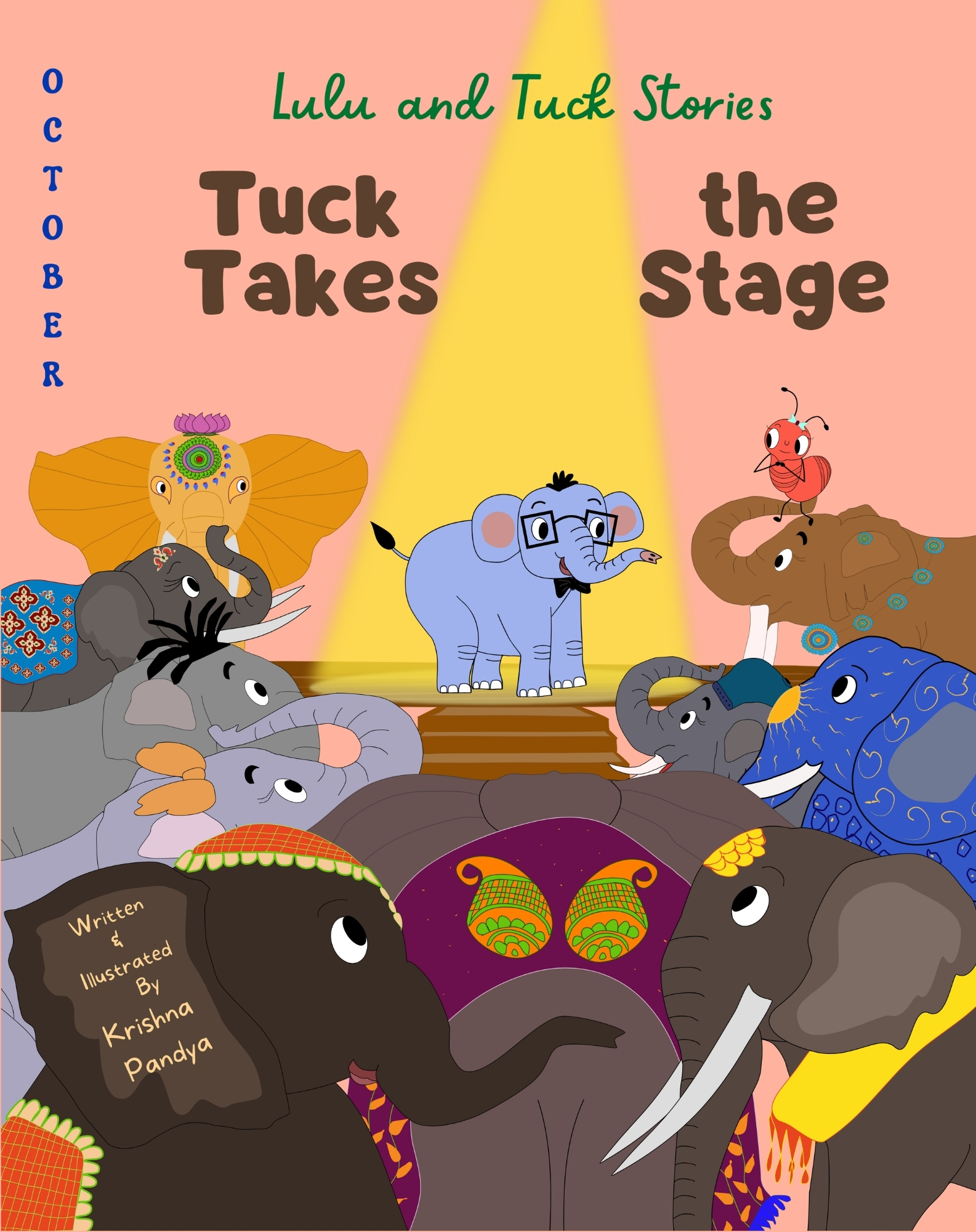 Lulu and Tuck Stories: Tuck Takes the Stage - Front Cover Front cover of Lulu and Tuck Stories: Tuck Takes the Stage children's book by No More Blank Pages.