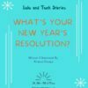 Lulu and Tuck Stories: What's Your New Year's Resolution? - Image 2